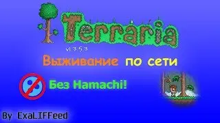 Terraria по сети 3 (Конец?)