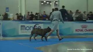 Eurasia 2019 Ca de Bou Males CH
