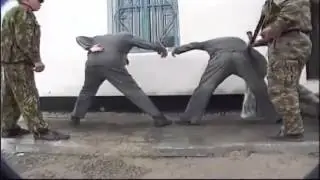 САМЫЙ НАПРЯЖНЫЙ ДЕНЬ ДЛЯ ПЕТУХОВ В ЗОНАХ