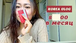 Сколько я трачу в Корее за месяц? 