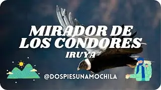 🦅 En busca de los cóndores 🦅 IRUYA