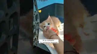 Рудик, пришло время прощаться