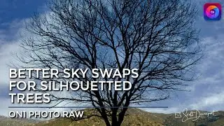 Better Sky Replacement For Silhouetted Trees In ON1 Photo RAW