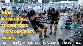 Моя специализация для дельт. Понятие 