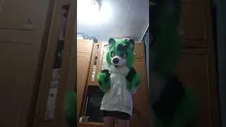 28 июля 2024 г.