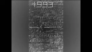 #1993