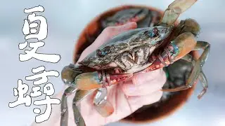 夏日吃蟳好季節，隻隻爆膏隻隻美味｜RICOの食材圖鑑