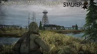 Stalker Online Квесты Гурмана ''Жареные Мозги Студня