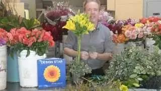 Topiary Trees and English Designs with Michael Gaffney
