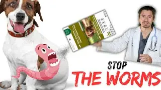 Deworm your dog at home