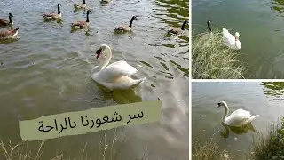 الصراحة تعبت وقررت اغير الجو ،وكنت محتاجة لهذه الجولة.Nature et confort psychologique