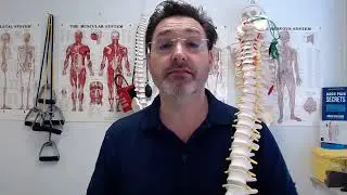 Acupuncture for Back Pain: Is It Effective?