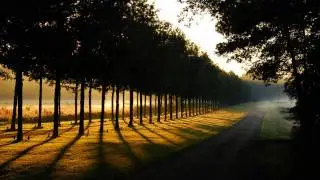 Steve Bengaln - Source Of Light (Philippe El Sisi vs Rey Remix)