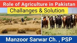 Role of agriculture in Pakistan's economy | Challenges & Solution |