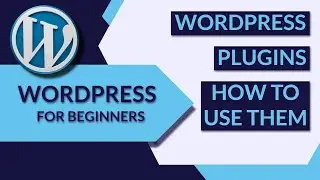 How to Use WordPress Plugins?