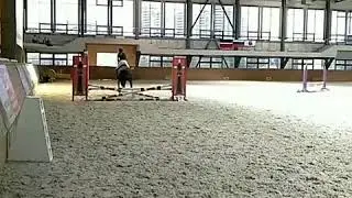 Первенство ГБУ ДО РДЮСШ по конному спорту 9.11.2018