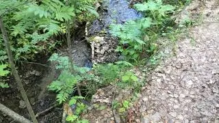 Родник село Новые Пичуры