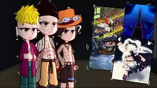 Past Whitebeard Pirates React To Luffy | All Parts | ||Onepiece||