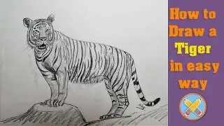 how to draw a tiger
