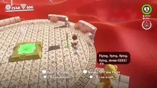 Super Mario Odyssey - Tostarena Ruins Entrance to Round Tower in sub-19 seconds