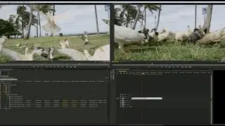 Adobe Premiere Pro CC uses NVIDIA GPUs for Debayering and Smoother 4K Workflows