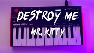 Mr. Kitty - Destroy me Cover