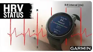 HRV Status: what does it mean for me, and why do I care about it?
