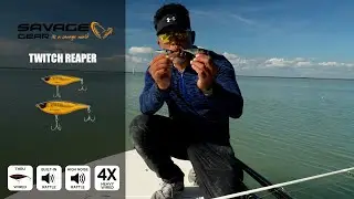 How to: Inshore fishing the Everglades with a stick bait for Snook Redfish Trout.