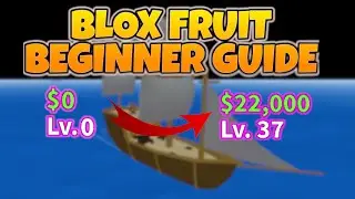 FULL STARTER GUIDE TO BLOX FRUITS IN ROBLOX || RaptorFLIER