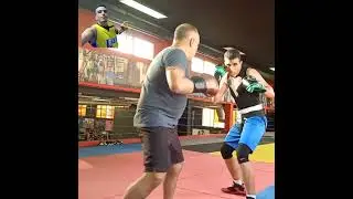 #bollywood #boxing #boxingday #boxofficecollection #boxer