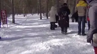 Лыжный марафон "Сибирские капели-2015"2