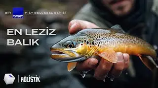 Dünyanın En Çok Tercih Edilen Balığı Nasıl Yetiştirilir? | Kültür Balıkçılığı