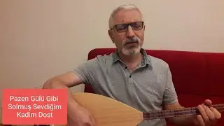 Pazen Gülü Gibi Solmuş Sevdiğim - Kadim Dost