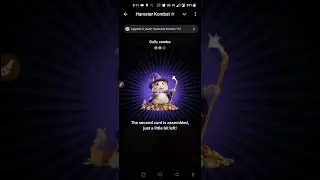 Hamster Kombat 10 August Combo Cards ✅ || Hamster Kombat Daily Combo || Unlock 🔓 5M Combo Rewards