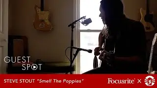 Guest Spot: Steve Stout "Smell The Poppies"