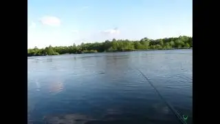 Ловля уклейки на маховую удочку