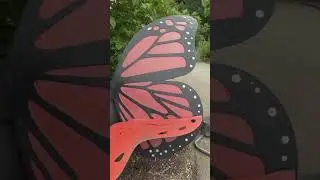 Let’s go to the zoo