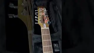 Tienen que ver esta guitarra 🥵 #takamine