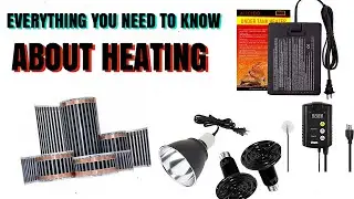 HOW TO HEAT YOUR SNAKES ENCLOSURE