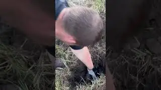 Выкопал