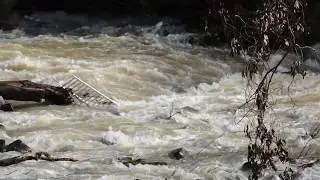 Jordan River is Flowing, Israel 2019 - IZE 1301