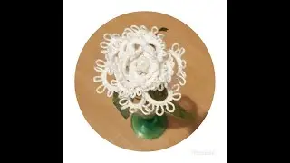 rosa al chiacchierino 1 parte
