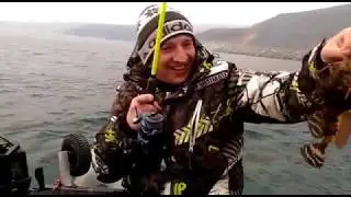 последнее
