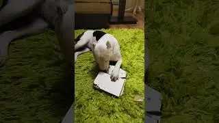 Ученье свет, а не ученье - тьма.