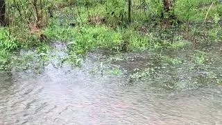 “Worse Flooding in 7 Years”Sweet Home Alabama March 25 2021 10:30 AM