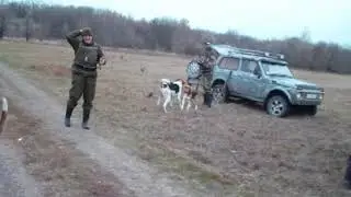 Отъезжие поля ноября 2021 года