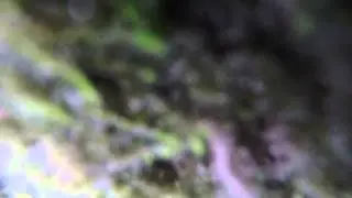 Gopro hero4 river adventure