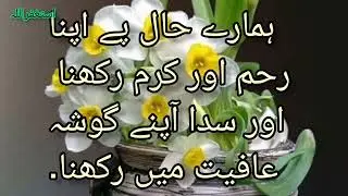 صدقے رمضان المبارک اللہ ہم پر اپنا کرم فرما.... آمین #youtubevideo #islam #ramadan