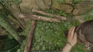 Green Hell the Game Green Hell Difficulty Trophy Skip