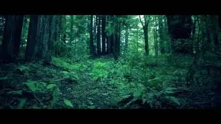 Baths - 